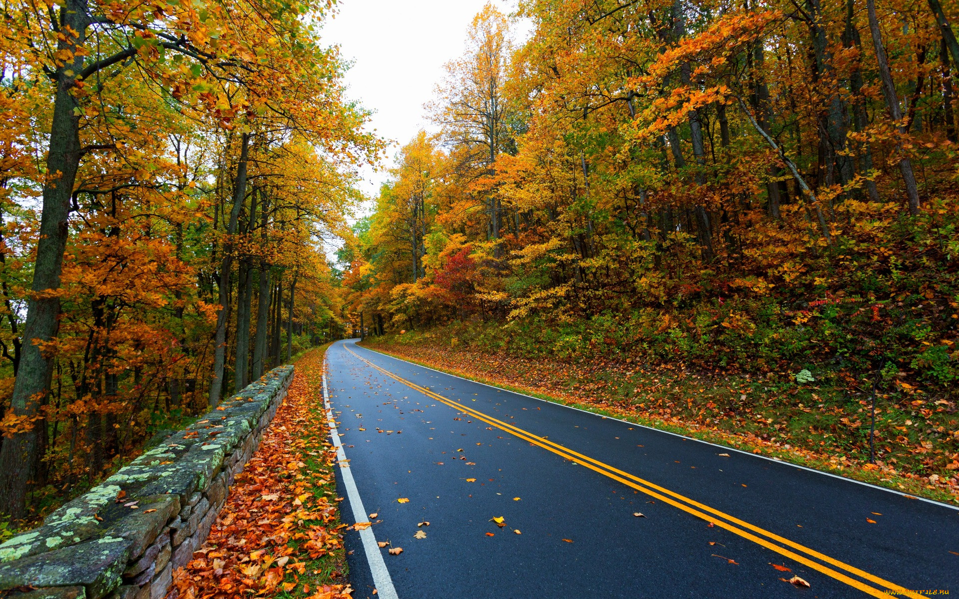 , , colors, fall, path, autumn, road, colorful, leaves, mountain, trees, nature, , , , walk